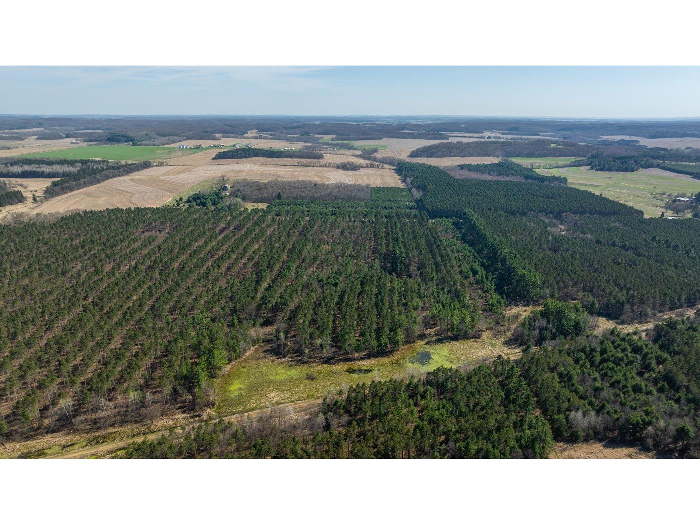 0 Prairie Road E Osseo WI 54758 1600338 image14