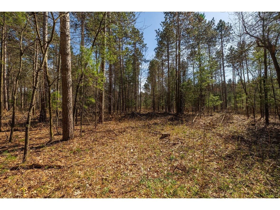 0 Prairie Road E Osseo WI 54758 1600338 image18