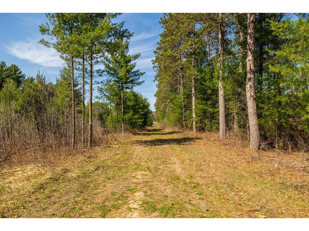 0 Prairie Road E Osseo WI 54758 1600338 image2