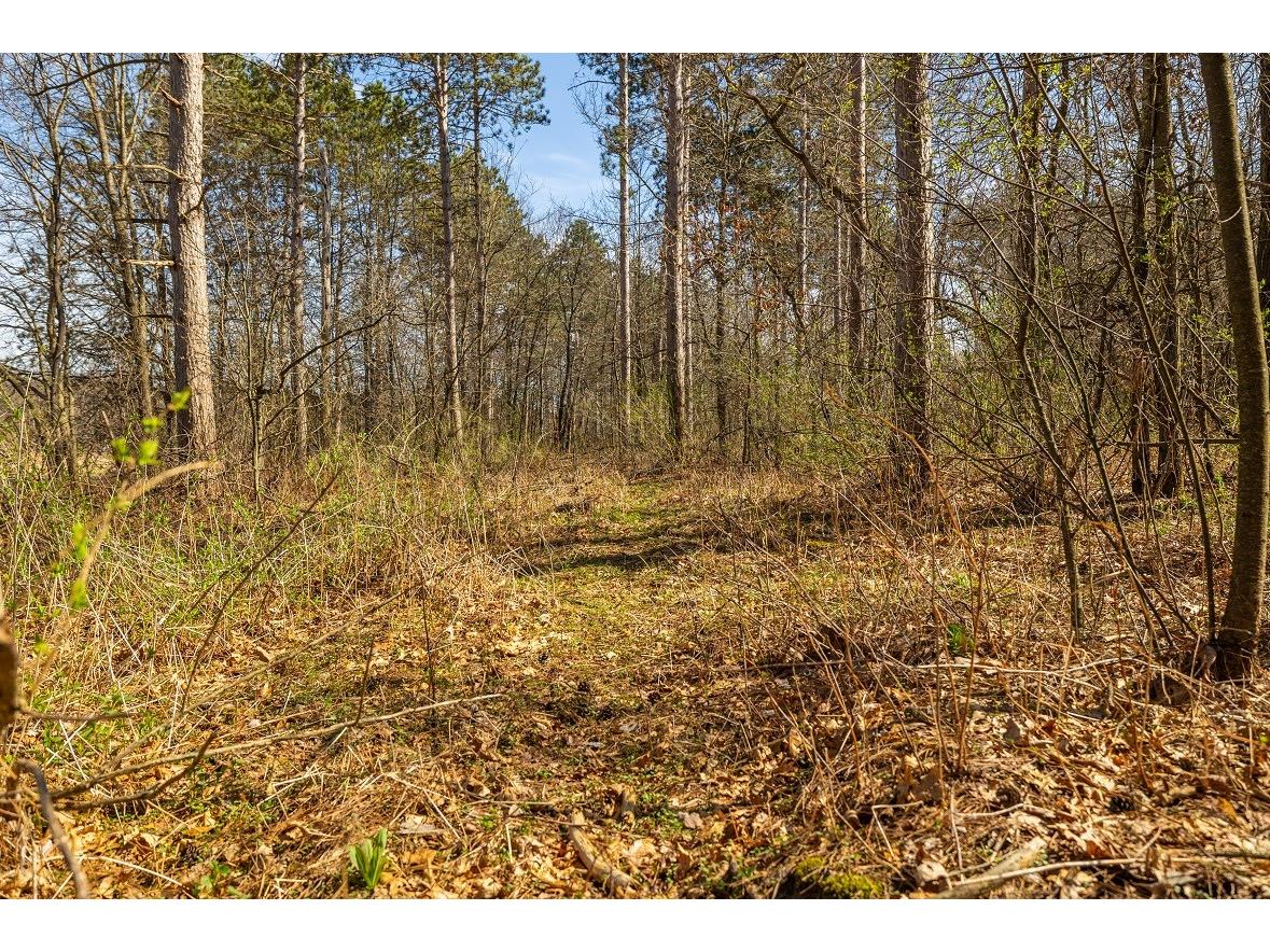 0 Prairie Road E Osseo WI 54758 1600339 image13