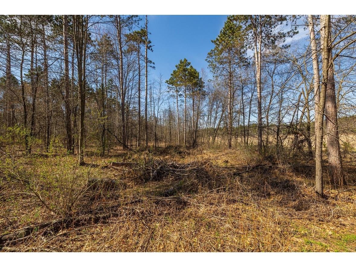 0 Prairie Road E Osseo WI 54758 1600339 image15