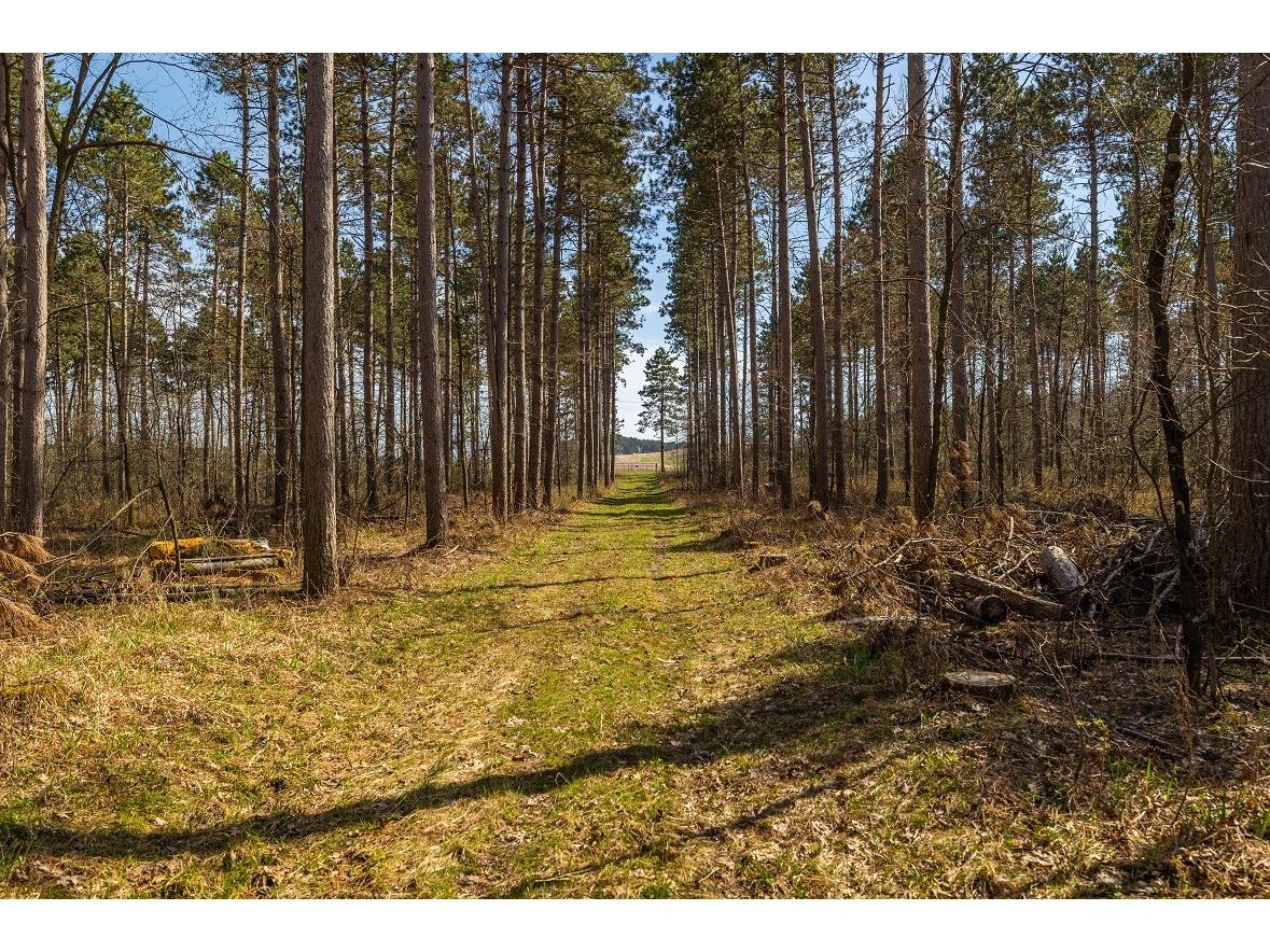 0 Prairie Road E Osseo WI 54758 1600339 image17