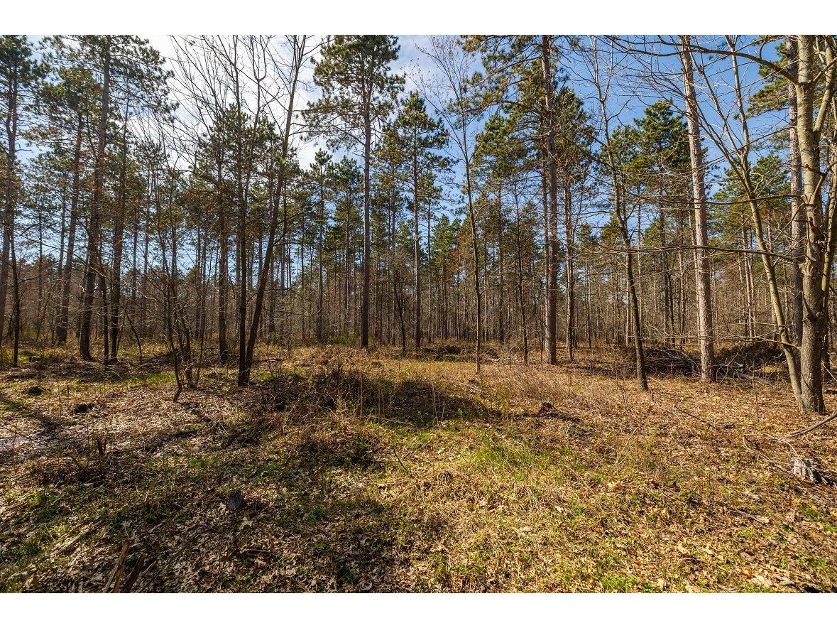 0 Prairie Road E Osseo WI 54758 1600339 image21