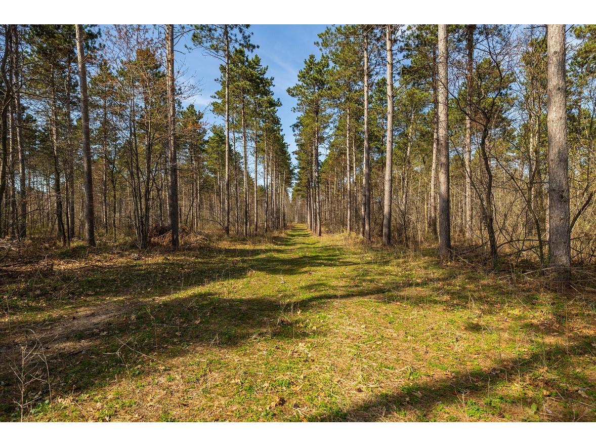 0 Prairie Road E Osseo WI 54758 1600339 image23