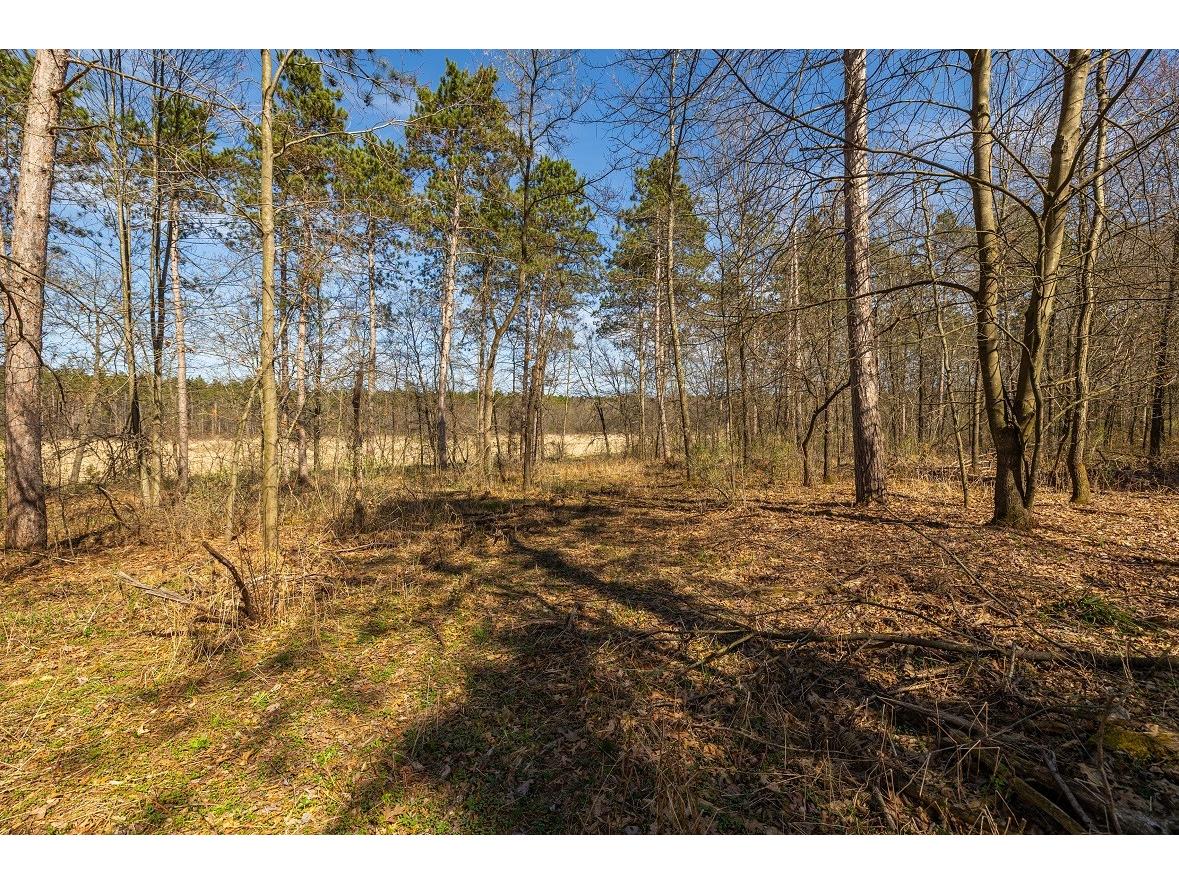 0 Prairie Road E Osseo WI 54758 1600339 image4