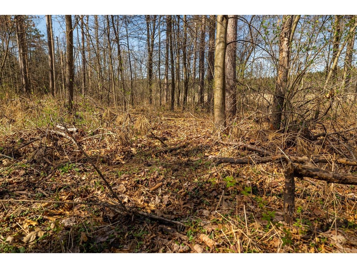 0 Prairie Road E Osseo WI 54758 1600339 image6