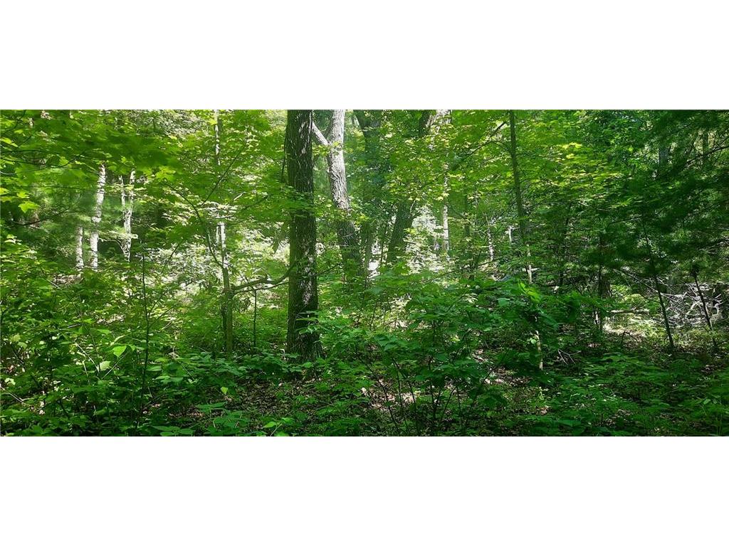 0 Pray Road Pittsville WI 54466 1576031 image1