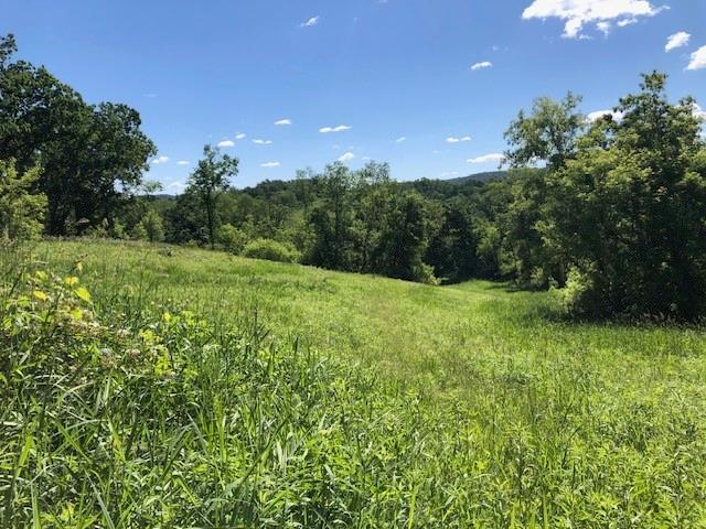 0 Pronschinske Road Mondovi WI 54755 1584059 image1