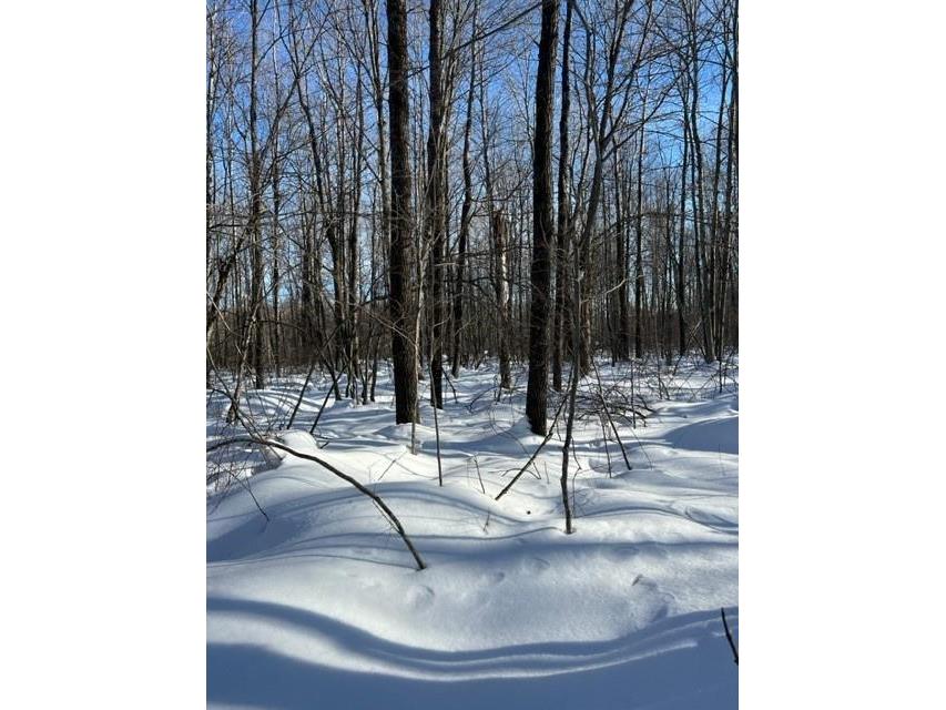 0 Rabbit Run, Ojibwa, WI 54862 MLS 1571187 Edina Realty