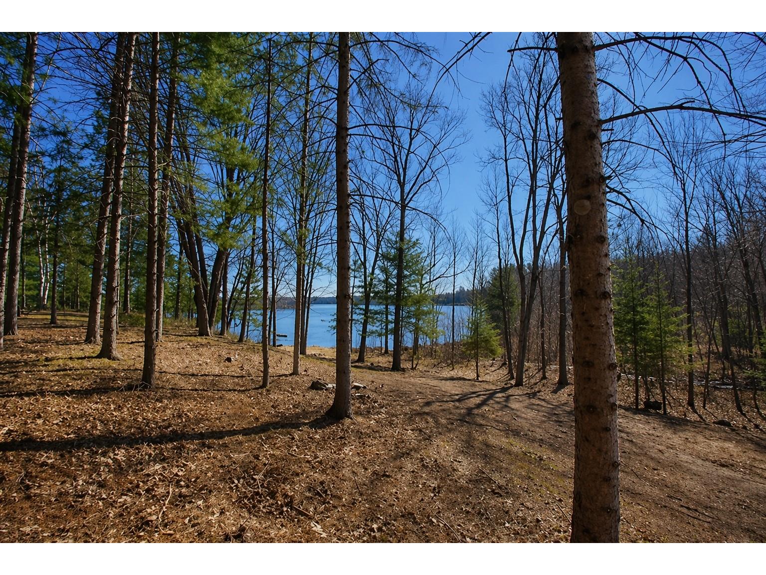 0 Ranch Road Stone Lake WI 54876 - Sissabagama Lake 1600353 image11