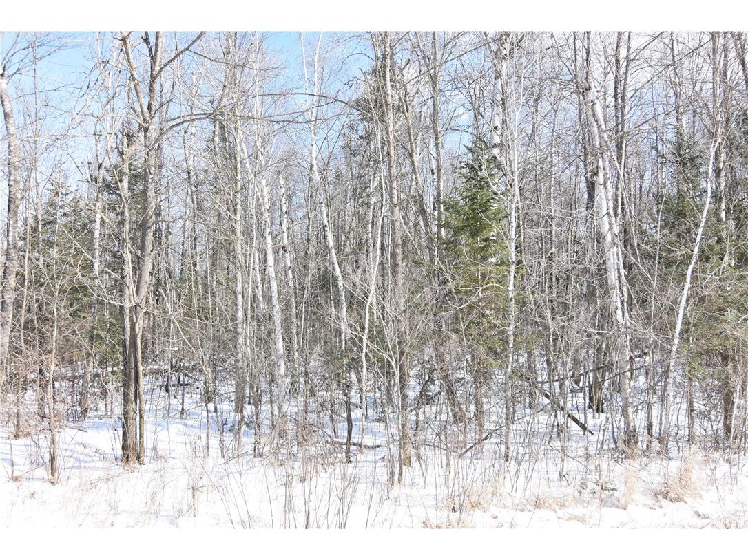 10 Acres Range Line Road Glen Flora WI 54526 1589175 image1