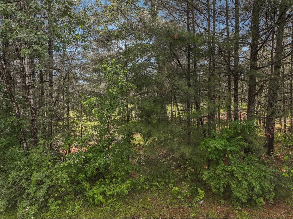0 Ranger Station Road Hayward WI 54843 1593257 image4