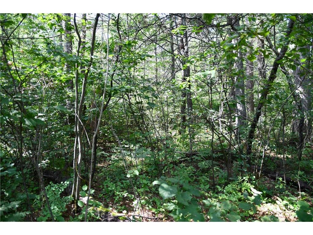 0 Raven Lane Hayward WI 54843 - Callahan 1574241 image1