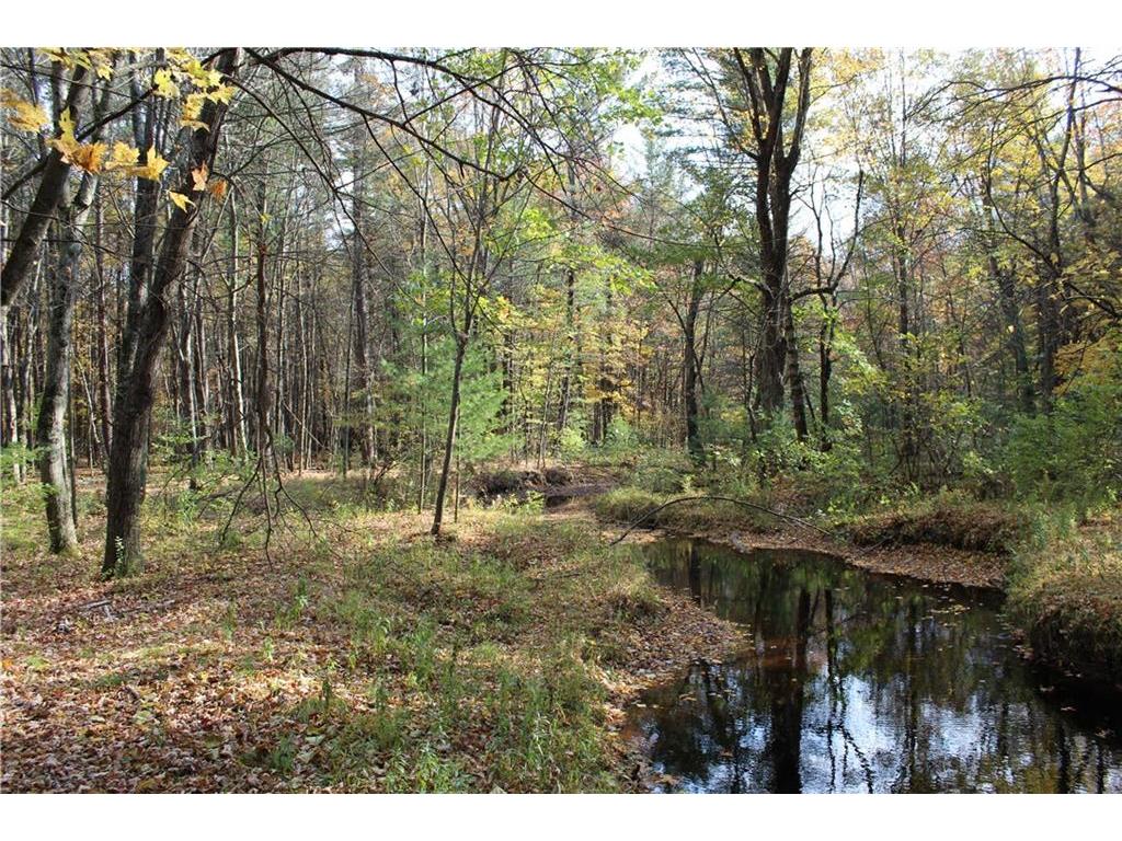0 Resewood Ave. Neillsville WI 54456 - unnamed creek 1576509 image1