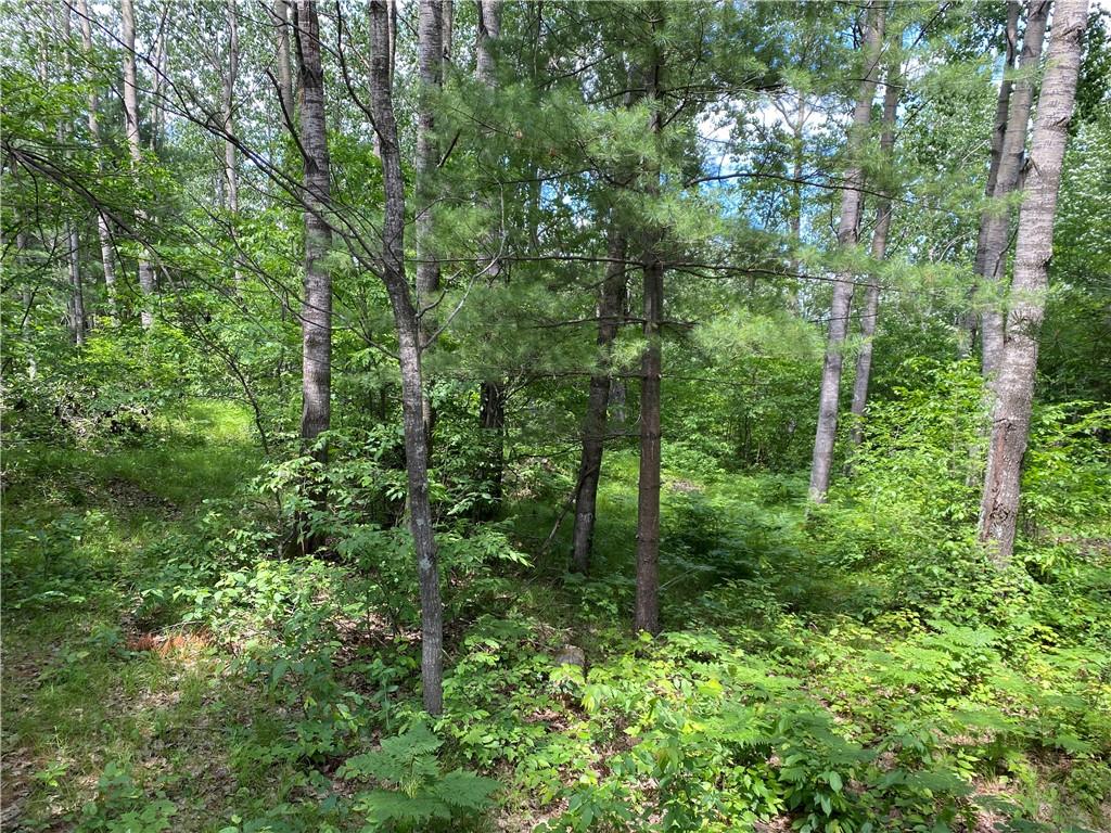 0 Ridgerock Road Hayward WI 54843 1570976 image1