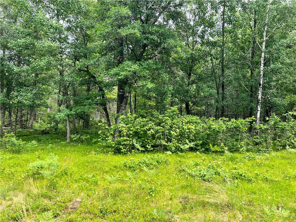 0 Robinson Lake Road Barnes WI 54873 1574596 image1