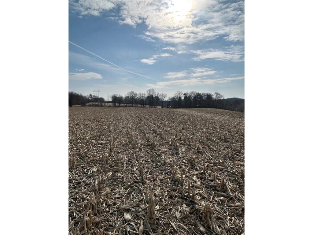 0 Ruf Road Black River Falls WI 54615 1590320 image10