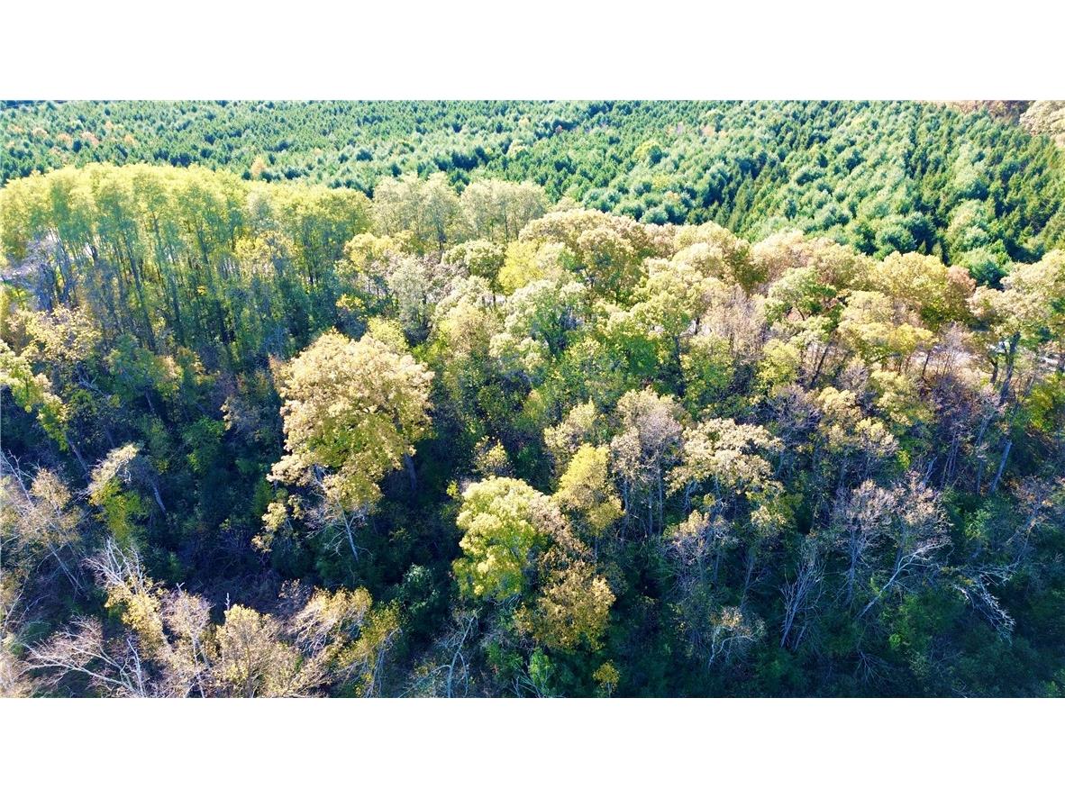 0 S Lowes Creek Rd Road Eau Claire WI 54701 - LOWES CREEK 1596478 image14