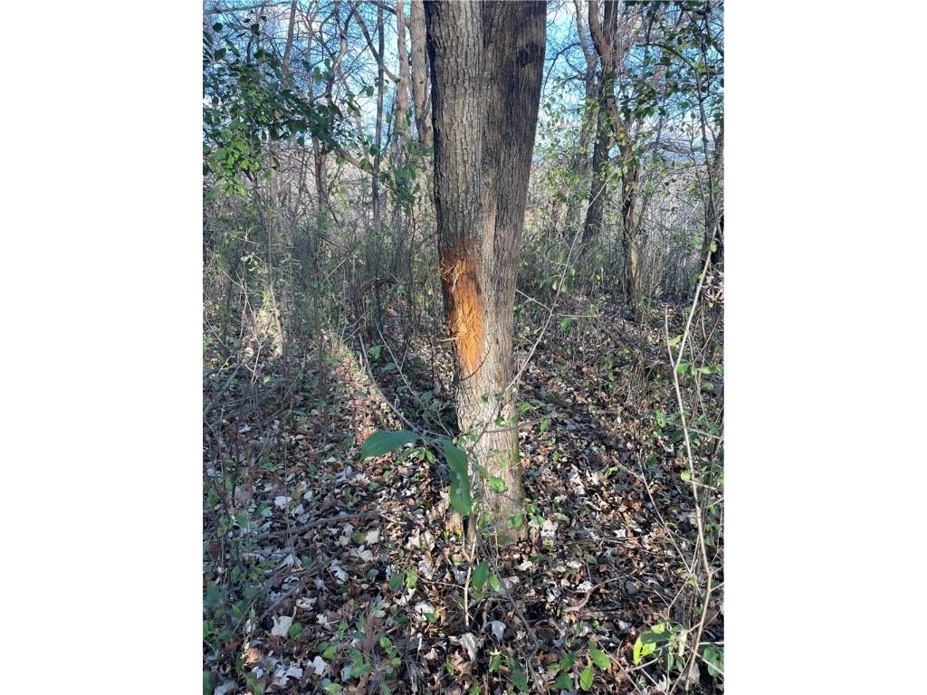 0 S Lowes Creek Rd Road Eau Claire WI 54701 - LOWES CREEK 1596478 image15