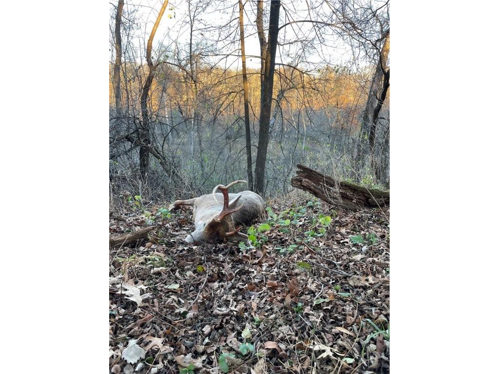 0 S Lowes Creek Rd Road Eau Claire WI 54701 - LOWES CREEK 1596478 image16