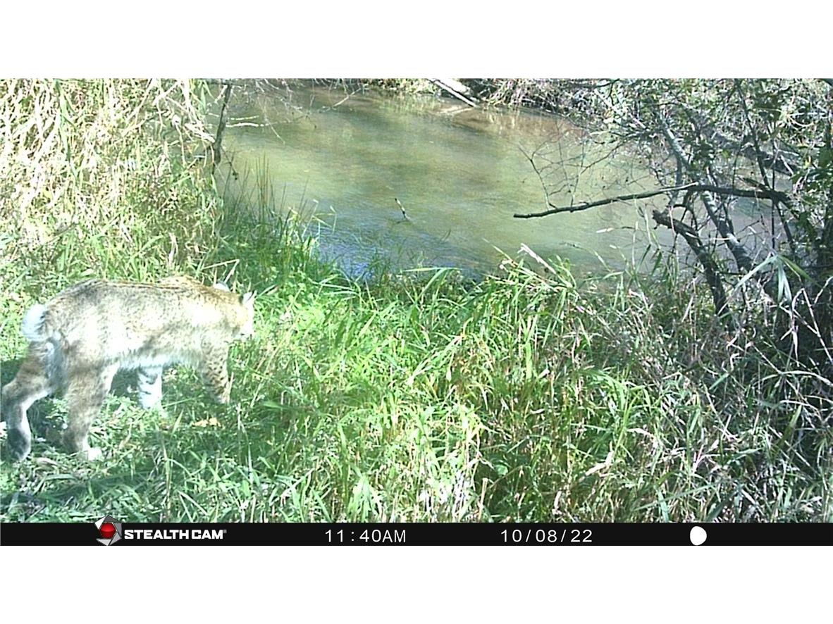 0 S Lowes Creek Rd Road Eau Claire WI 54701 - LOWES CREEK 1596478 image2