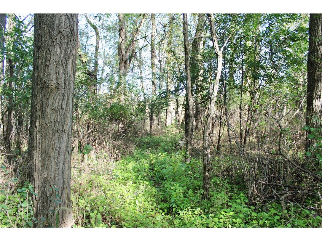 0 S Lowes Creek Rd Road Eau Claire WI 54701 - LOWES CREEK 1596478 image20