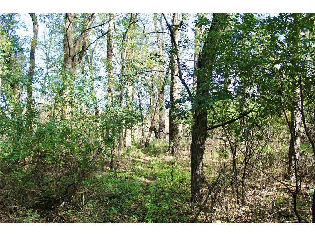 0 S Lowes Creek Rd Road Eau Claire WI 54701 - LOWES CREEK 1596478 image21