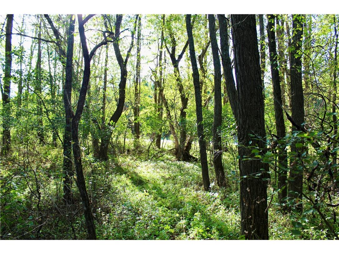 0 S Lowes Creek Rd Road Eau Claire WI 54701 - LOWES CREEK 1596478 image22