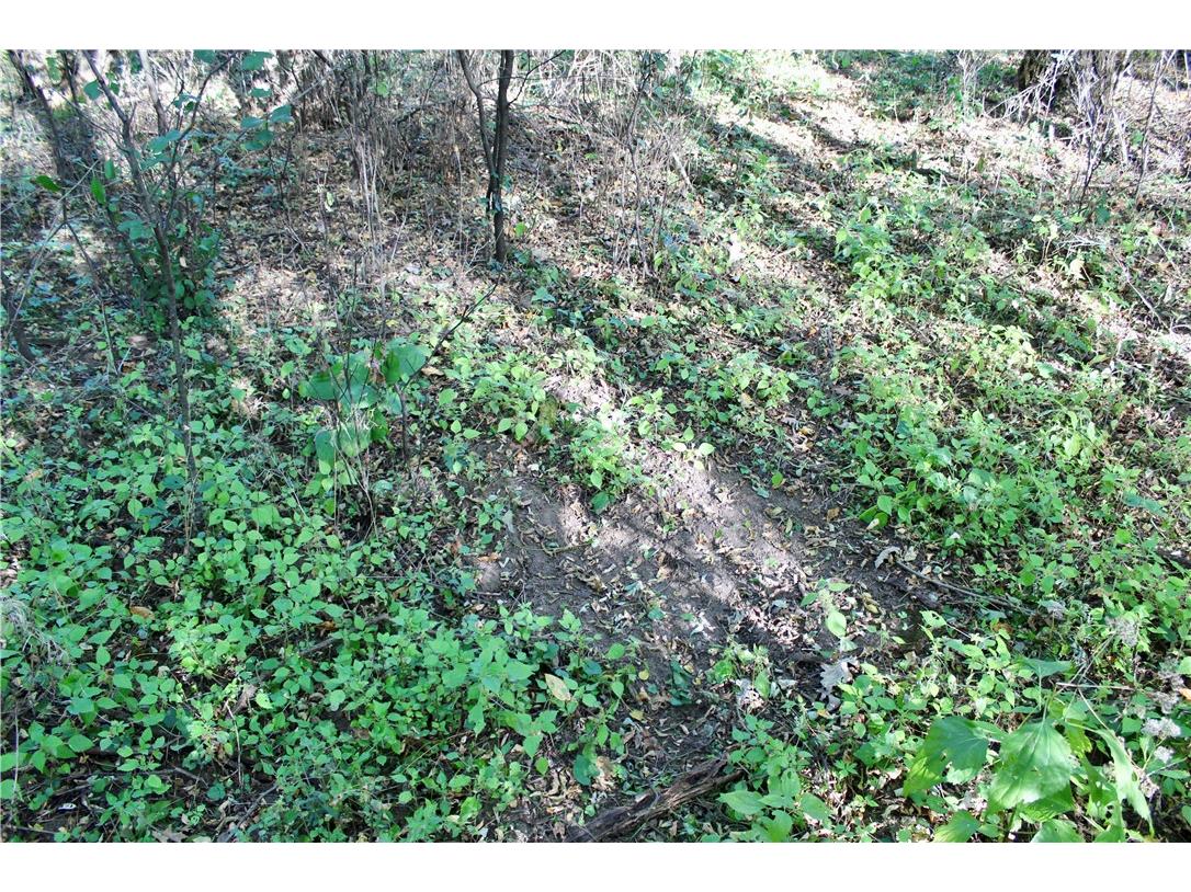 0 S Lowes Creek Rd Road Eau Claire WI 54701 - LOWES CREEK 1596478 image23