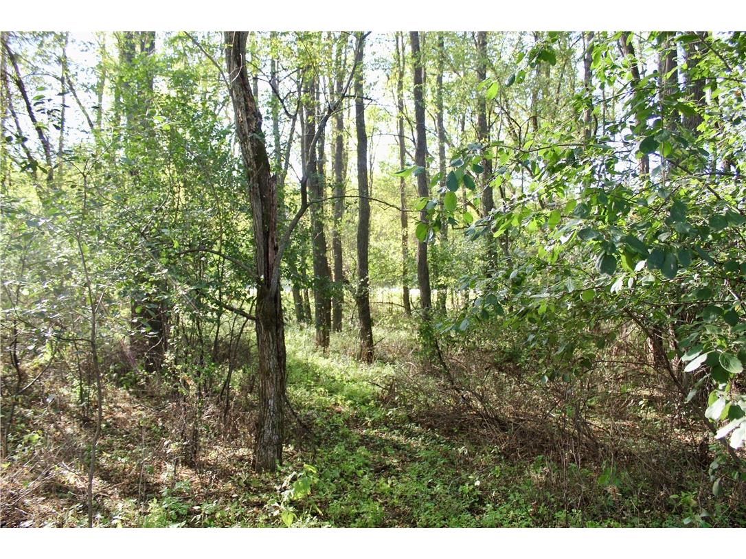 0 S Lowes Creek Rd Road Eau Claire WI 54701 - LOWES CREEK 1596478 image24