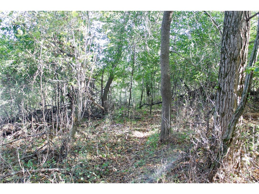 0 S Lowes Creek Rd Road Eau Claire WI 54701 - LOWES CREEK 1596478 image25