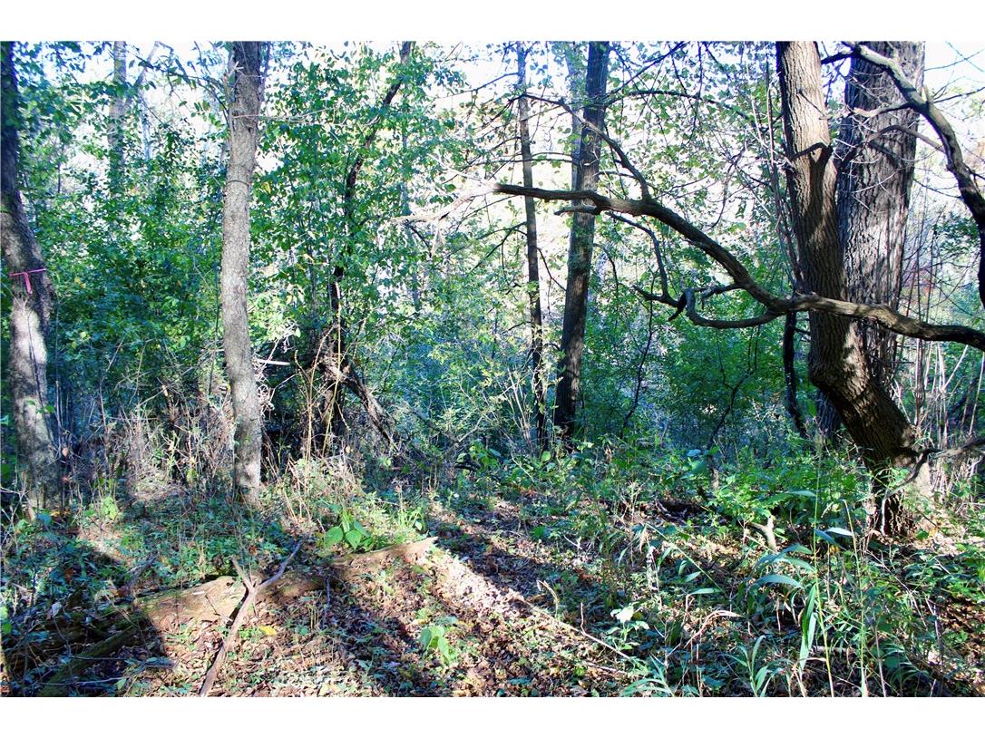 0 S Lowes Creek Rd Road Eau Claire WI 54701 - LOWES CREEK 1596478 image26