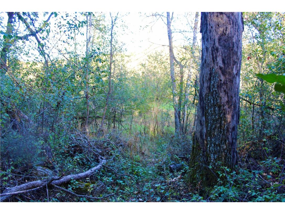 0 S Lowes Creek Rd Road Eau Claire WI 54701 - LOWES CREEK 1596478 image27