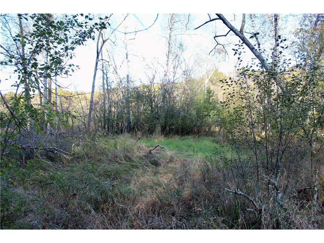 0 S Lowes Creek Rd Road Eau Claire WI 54701 - LOWES CREEK 1596478 image28