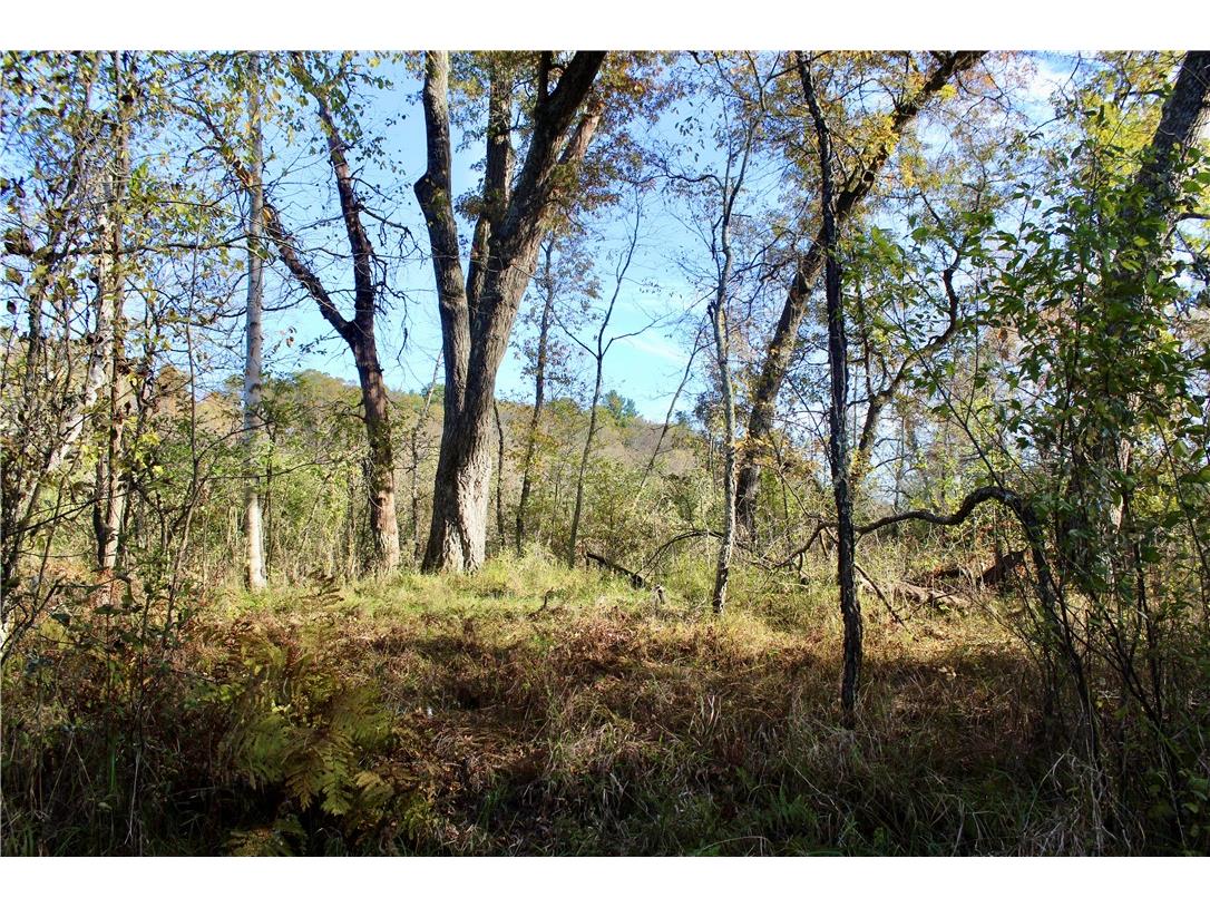0 S Lowes Creek Rd Road Eau Claire WI 54701 - LOWES CREEK 1596478 image29