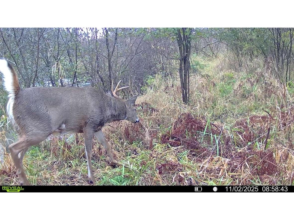 0 S Lowes Creek Rd Road Eau Claire WI 54701 - LOWES CREEK 1596478 image3