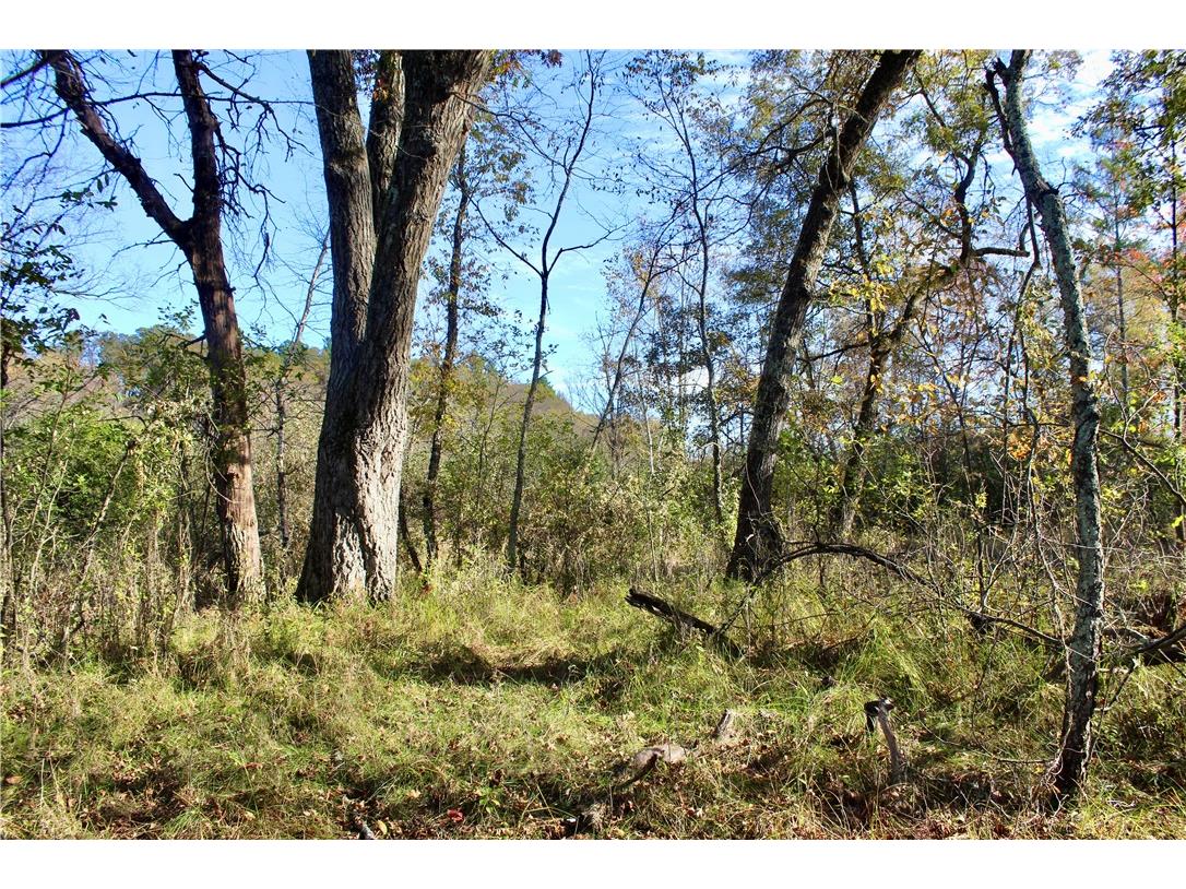 0 S Lowes Creek Rd Road Eau Claire WI 54701 - LOWES CREEK 1596478 image30