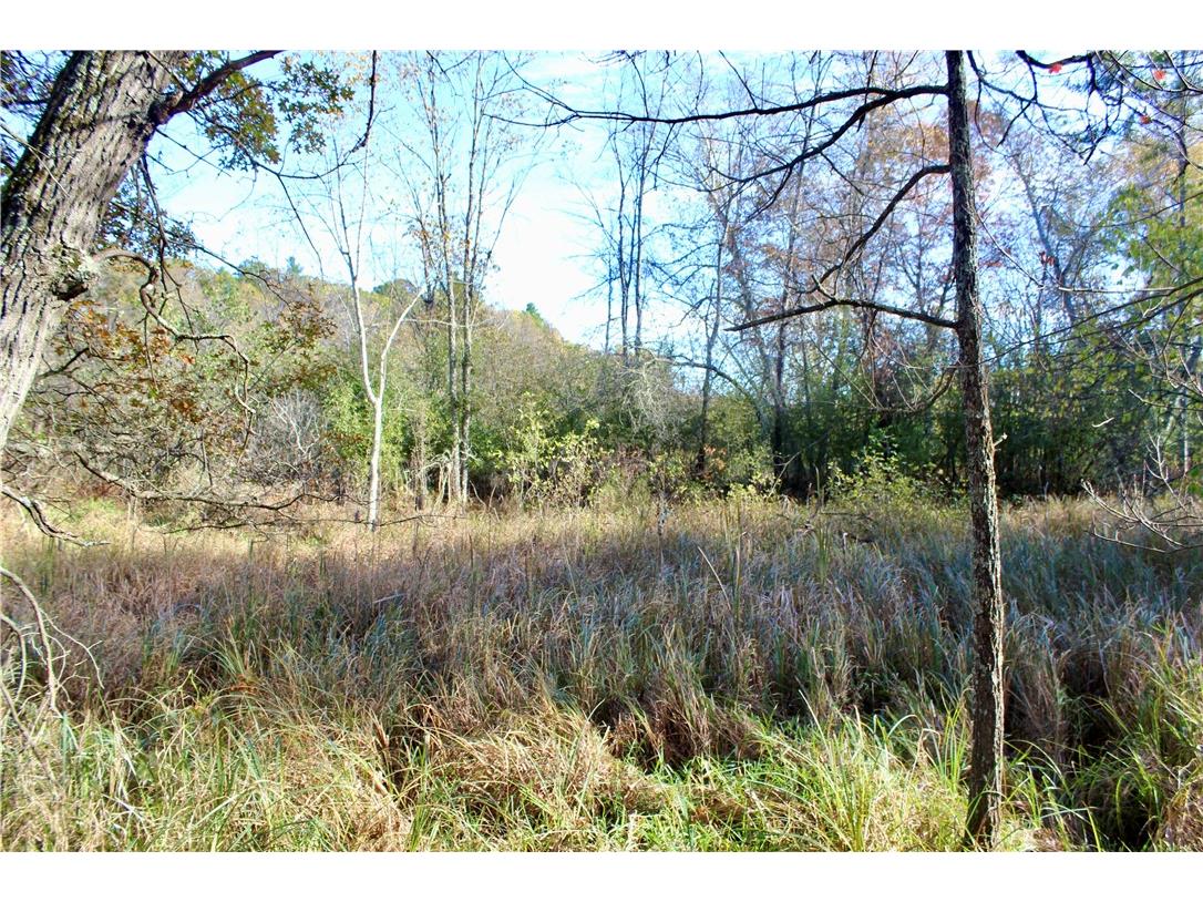 0 S Lowes Creek Rd Road Eau Claire WI 54701 - LOWES CREEK 1596478 image31