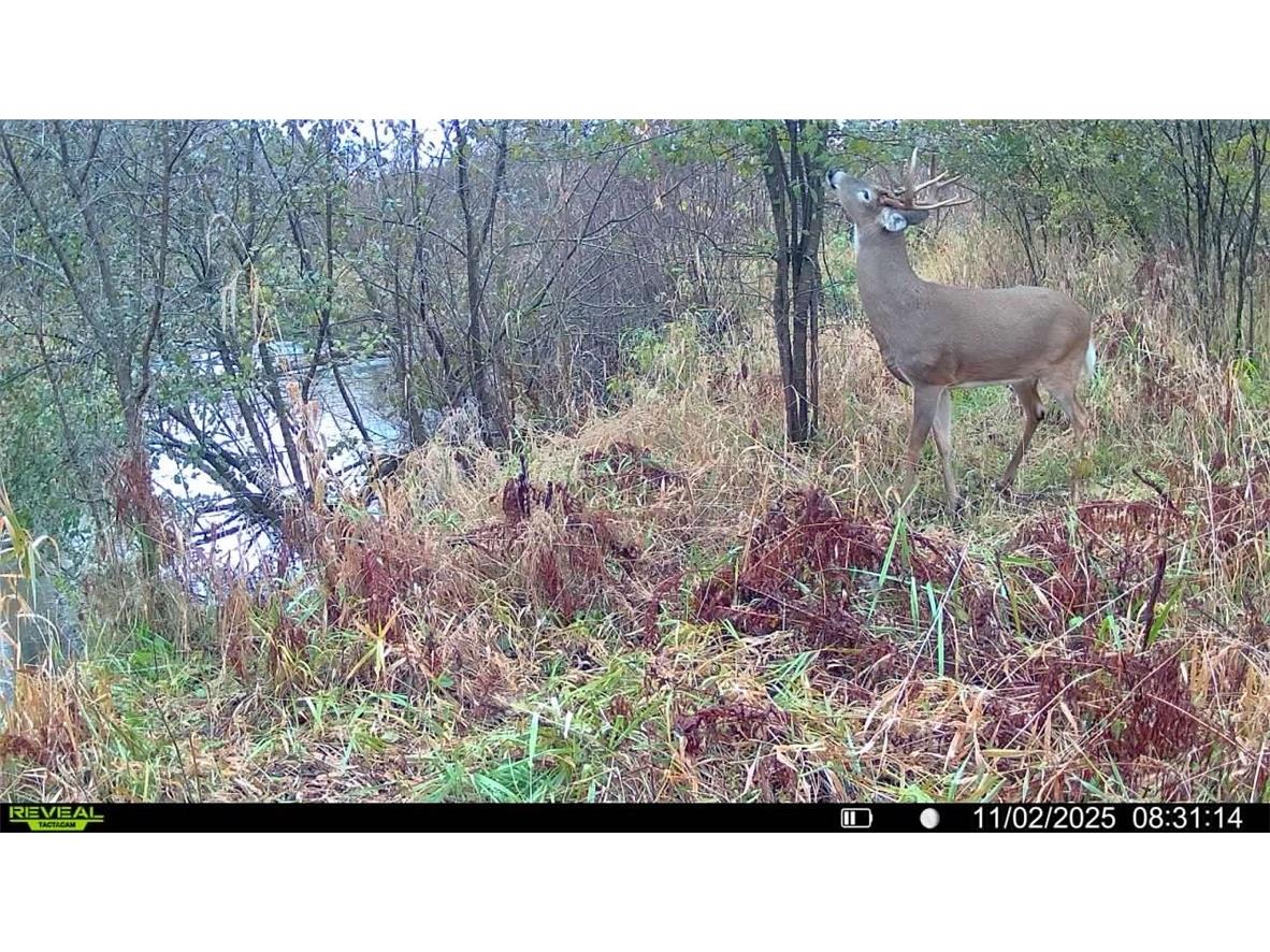 0 S Lowes Creek Rd Road Eau Claire WI 54701 - LOWES CREEK 1596478 image4