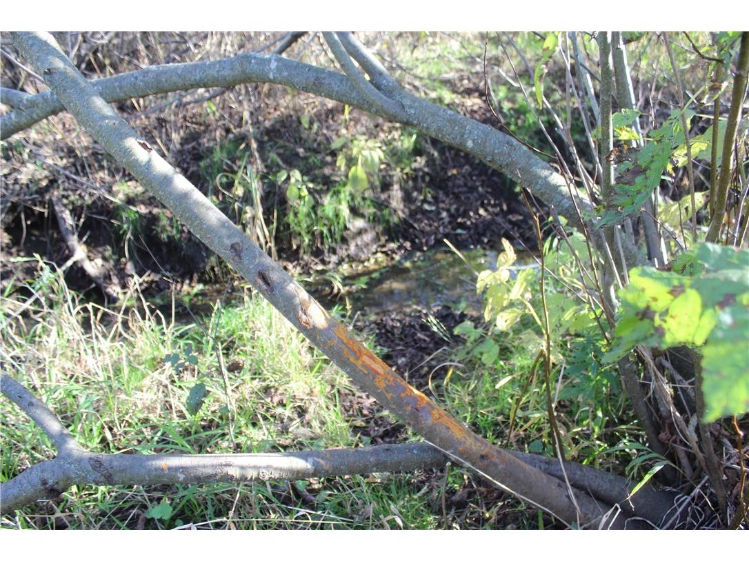 0 S Lowes Creek Rd Road Eau Claire WI 54701 - LOWES CREEK 1596478 image41