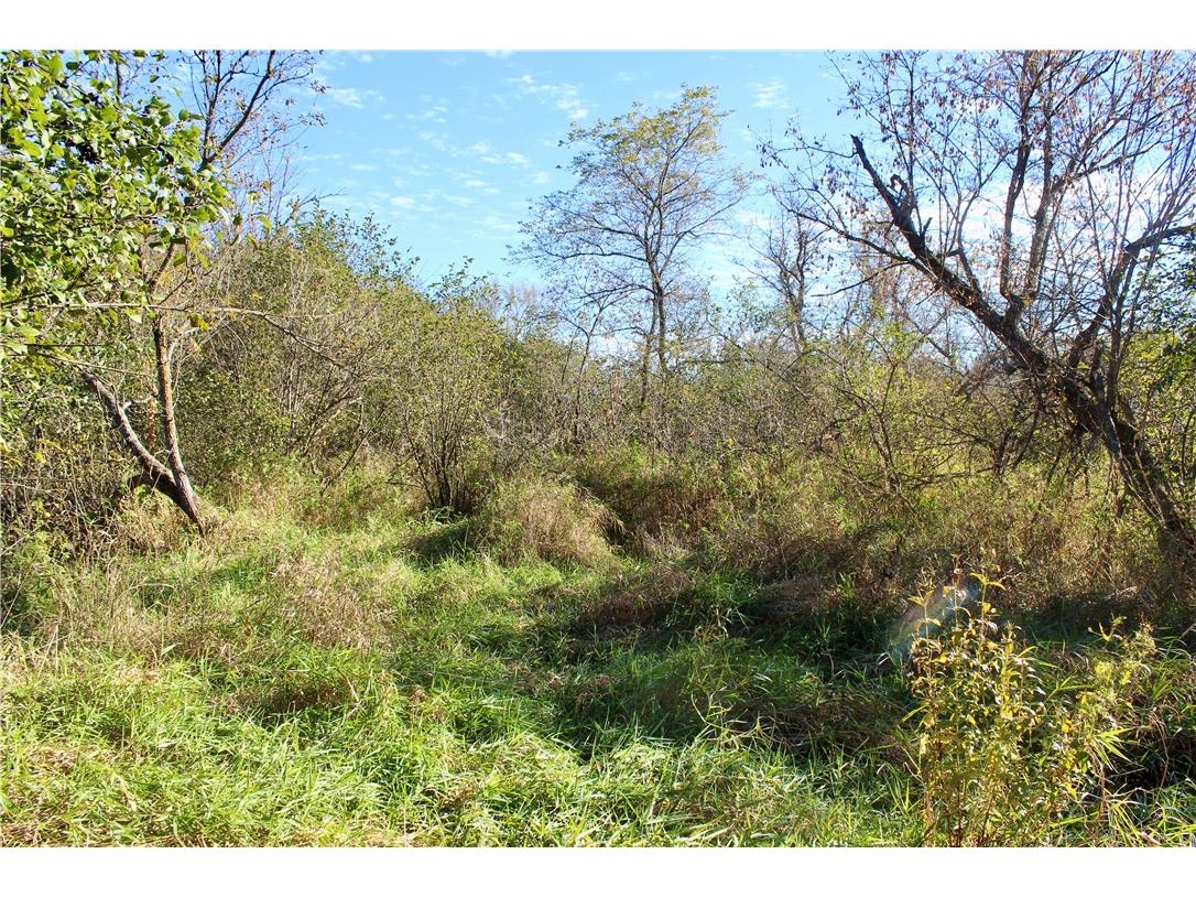 0 S Lowes Creek Rd Road Eau Claire WI 54701 - LOWES CREEK 1596478 image42
