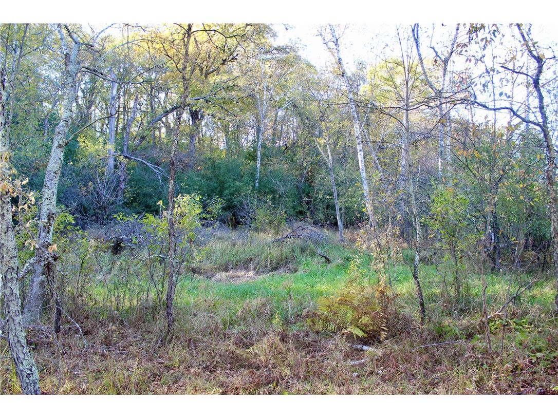 0 S Lowes Creek Rd Road Eau Claire WI 54701 - LOWES CREEK 1596478 image45