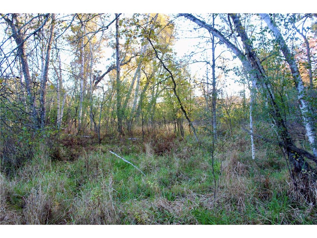 0 S Lowes Creek Rd Road Eau Claire WI 54701 - LOWES CREEK 1596478 image46