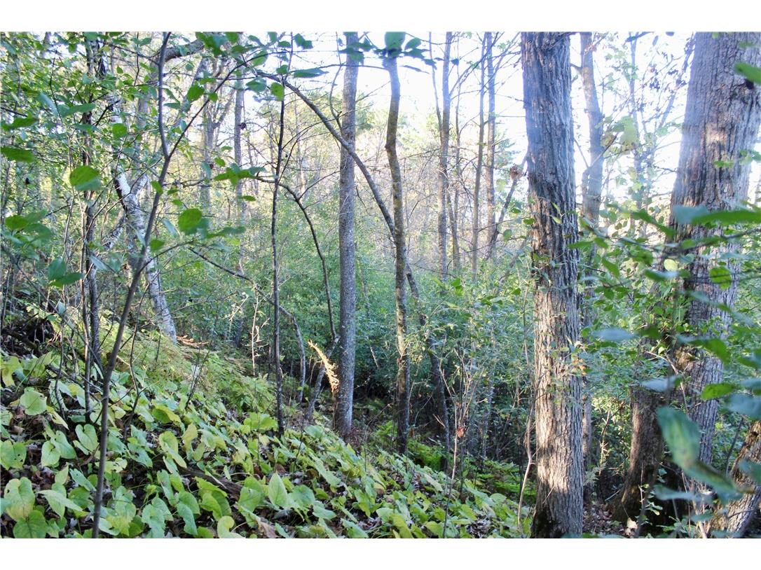 0 S Lowes Creek Rd Road Eau Claire WI 54701 - LOWES CREEK 1596478 image47