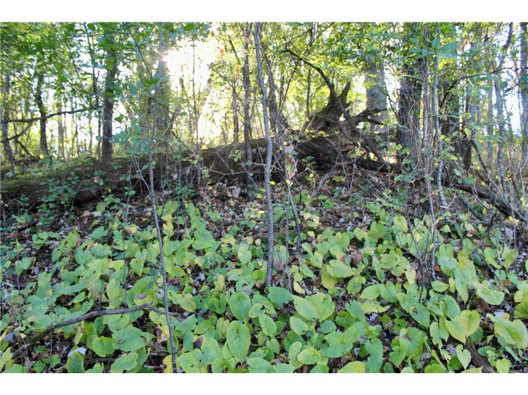 0 S Lowes Creek Rd Road Eau Claire WI 54701 - LOWES CREEK 1596478 image48