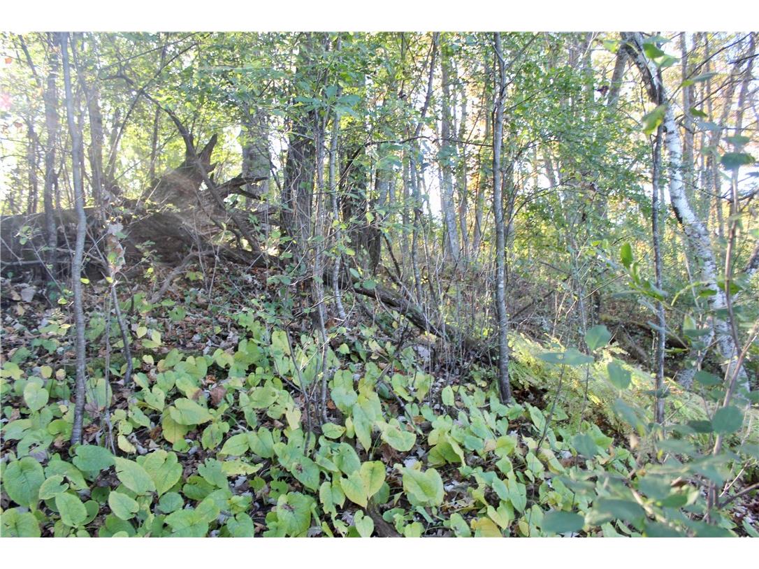 0 S Lowes Creek Rd Road Eau Claire WI 54701 - LOWES CREEK 1596478 image49