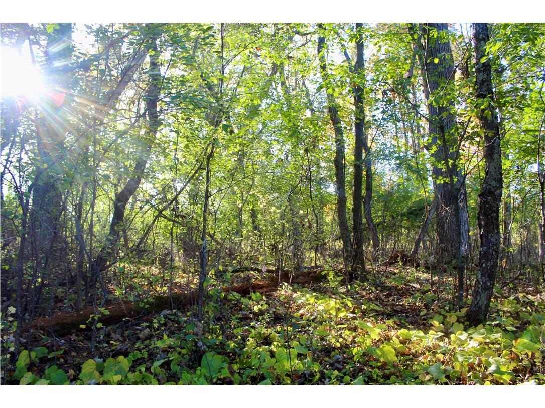 0 S Lowes Creek Rd Road Eau Claire WI 54701 - LOWES CREEK 1596478 image50