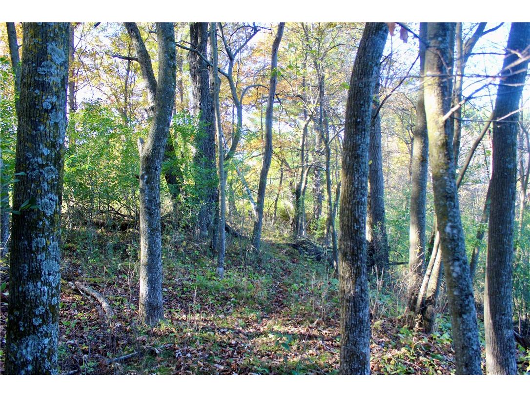 0 S Lowes Creek Rd Road Eau Claire WI 54701 - LOWES CREEK 1596478 image51