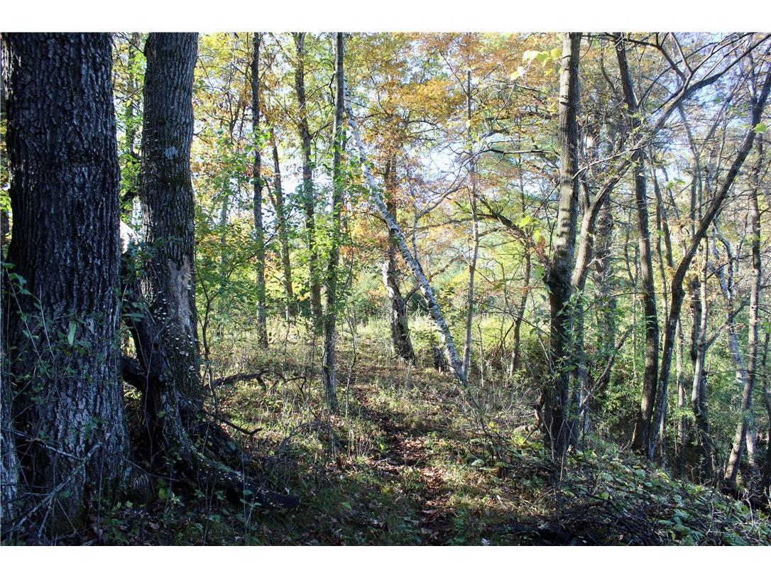 0 S Lowes Creek Rd Road Eau Claire WI 54701 - LOWES CREEK 1596478 image52