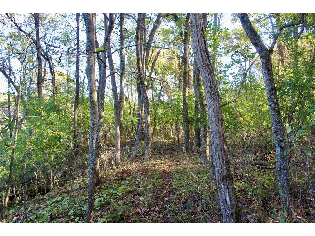 0 S Lowes Creek Rd Road Eau Claire WI 54701 - LOWES CREEK 1596478 image53